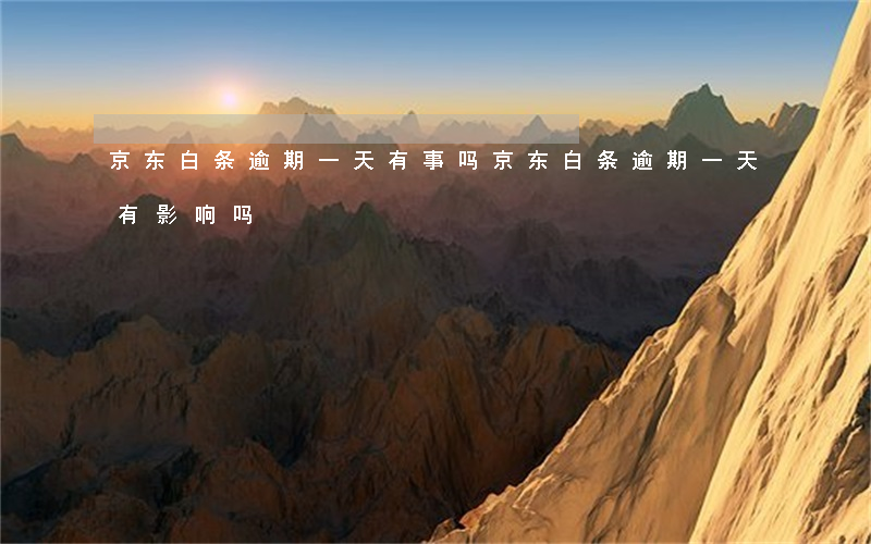 京东白条逾期一天有事吗（京东白条逾期一天有影响吗）