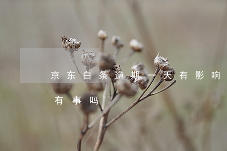 京东白条逾期一天有影响(京东白条逾期一天有事吗)