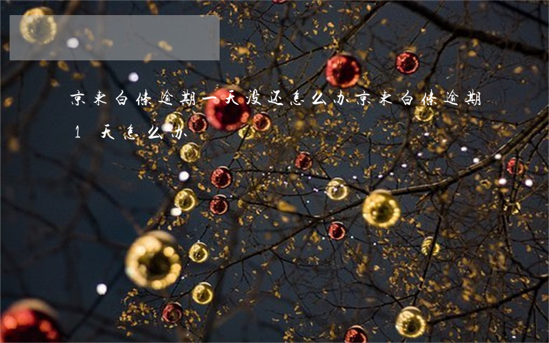 京东白条逾期一天没还怎么办(京东白条逾期1天怎么办)
