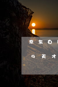 京东白条逾期一天要紧吗（京东白条逾期了19天才还）