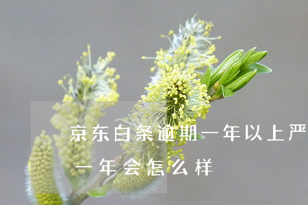 京东白条逾期一年以上严重吗(京东白条逾期一年会怎么样)