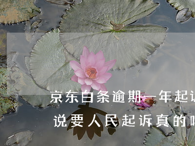 京东白条逾期一年起诉 京东白条逾期2个月说要人民起诉 真的吗