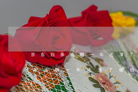 京东白条逾期一年还清了被锁定了-京东白条逾期一年还清了被锁定了怎么办