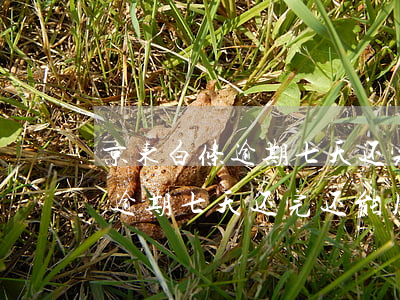 京东白条逾期七天还完还能用吗-京东白条逾期七天还完还能用吗安全吗