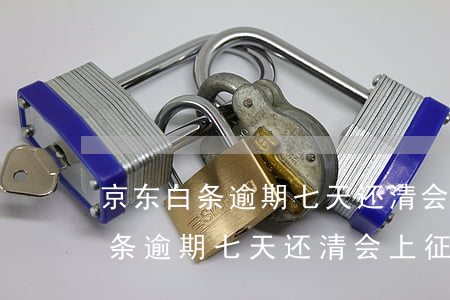 京东白条逾期七天还清会上征信吗-京东白条逾期七天还清会上征信吗知乎