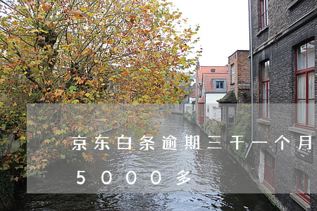 京东白条逾期三千一个月 京东白条逾期三年5000多