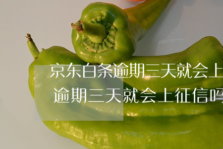 京东白条逾期三天就会上征信吗-京东白条逾期三天就会上征信吗知乎