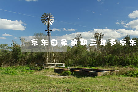 京东白条逾期三年多 京东白条逾期好几年了