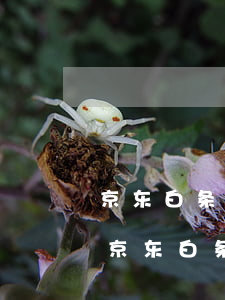 京东白条逾期上征信报告吗（简版征信能显示京东白条的逾期吗）