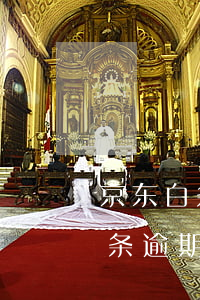 京东白条逾期不到130天怎么办-京东白条逾期不到130天怎么办呢