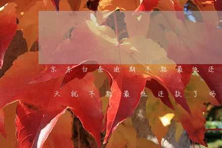 京东白条逾期不能最低还款(京东白条逾期一天就不能最低还款了吗)