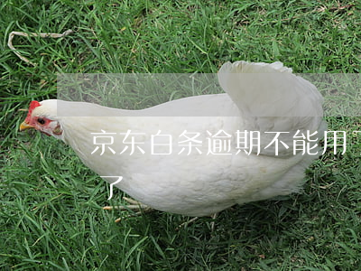 京东白条逾期不能用了(京东白条逾期不能用了)