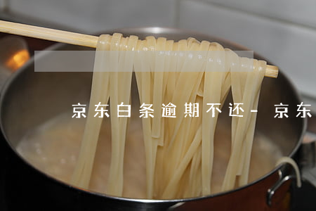 京东白条逾期不还-京东白条逾期不还