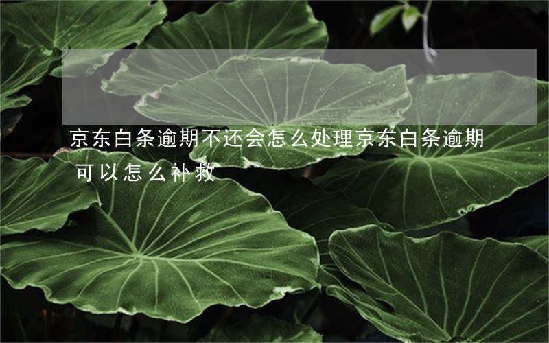 京东白条逾期不还会怎么处理（京东白条逾期可以怎么补救）