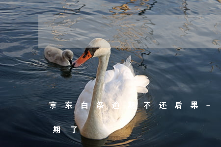 京东白条逾期不还后果-京东白条不小心逾期了