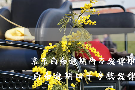 京东白条逾期两万发律师函是不是真的(京东白条逾期四千多被发律师函了,怎么办)