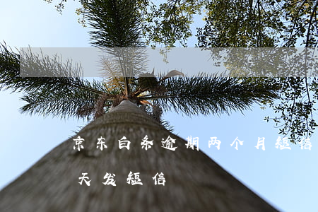京东白条逾期两个月短信(京东白条逾期10天发短信)