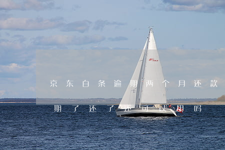京东白条逾期两个月还款还能用(京东白条逾期了还了还可以用吗?)