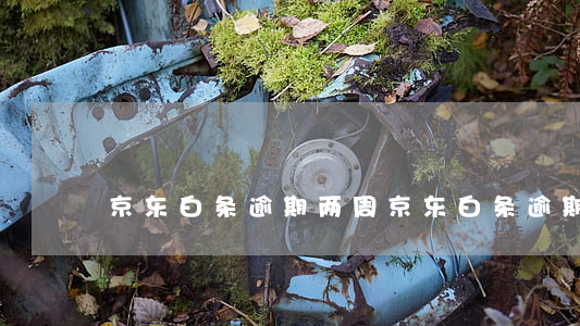 京东白条逾期两周(京东白条逾期一周)