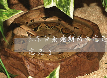 京东白条逾期两天忘还了 京东白条逾期两天忘还了