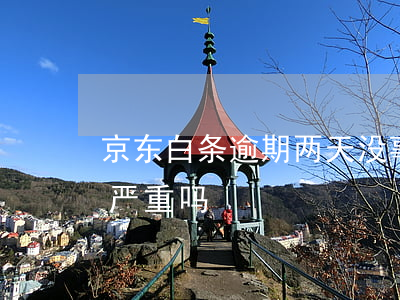 京东白条逾期两天没事(京东白条逾期了2天严重吗)