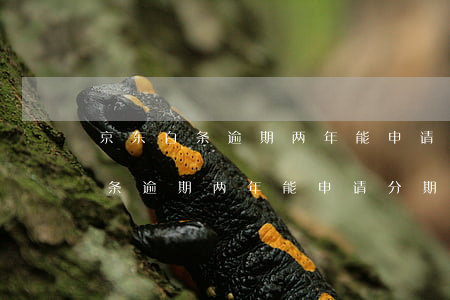 京东白条逾期两年能申请分期还吗-京东白条逾期两年能申请分期还吗