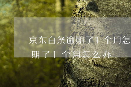 京东白条逾期了1个月怎么办-京东白条逾期了1个月怎么办