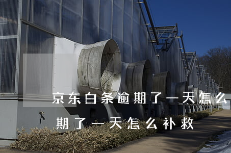 京东白条逾期了一天怎么补救-京东白条逾期了一天怎么补救