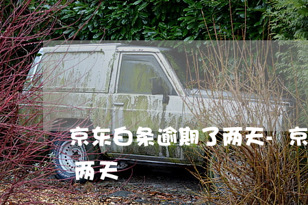京东白条逾期了两天-京东白条不小心逾期两天