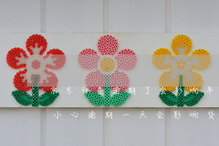 京东白条逾期了会影响车贷嘛-京东白条不小心逾期一天会影响贷款吗