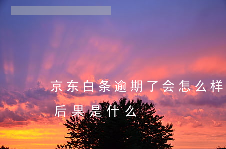 京东白条逾期了会怎么样吗（京东白条逾期的后果是什么）