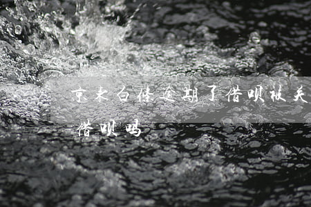 京东白条逾期了借呗被关了(白条逾期过会有借呗吗)
