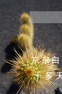 京东白条逾期了先还一小部分 京东白条逾期十多天告诉如果不还就得还全款
