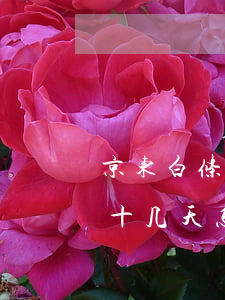京东白条逾期了八天怎么办-京东白条逾期十几天怎么办