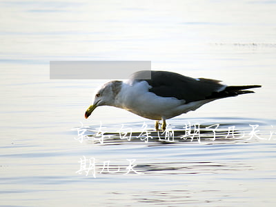 京东白条逾期了几天没事吧-京东白条可逾期几天