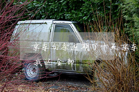 京东白条逾期了十天（京东白条逾期90天叫我还全部）