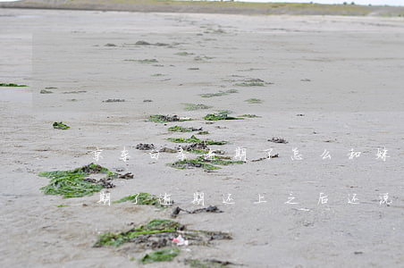 京东白条逾期了怎么和妹子说话(京东白条逾期了,逾期还上之后,还说要上门)