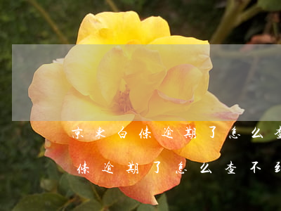 京东白条逾期了怎么查不到上征信-京东白条逾期了怎么查不到上征信记录