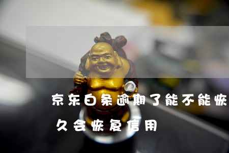 京东白条逾期了能不能恢复(京东白条逾期多久会恢复信用)