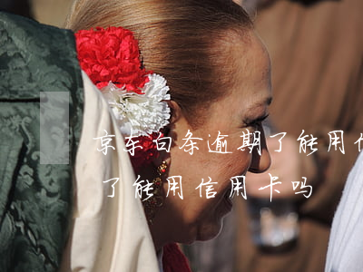京东白条逾期了能用信用卡吗(京东白条逾期了能用信用卡吗)