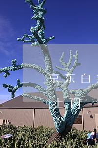 京东白条逾期了说要上门了 京东白条逾期会上门
