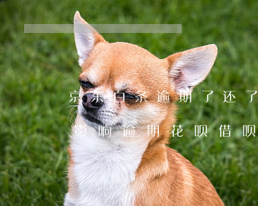 京东白条逾期了还了借呗还能借嘛(京东白条影响逾期花呗借呗吗)