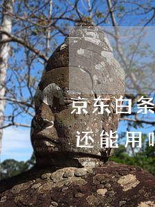 京东白条逾期了还了多久能用(京东白条逾期还能用吗)