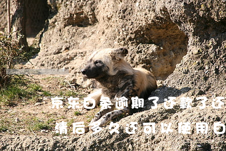 京东白条逾期了还款了还能用吗(京东逾期还清后,多久还可以使用白条)