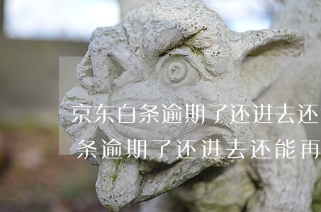京东白条逾期了还进去还能再用吗-京东白条逾期了还进去还能再用吗安全吗