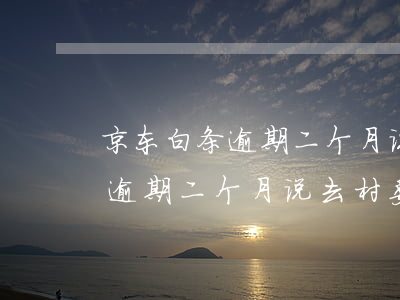 京东白条逾期二个月说去村委会-京东白条逾期二个月说去村委会是真的吗