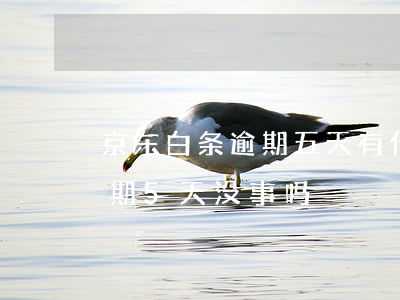 京东白条逾期五天有什么后果-京东白条逾期5天没事吗