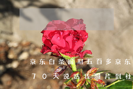 京东白条逾期五百多 京东白条逾期五百多170天说贴我照片到社区村委
