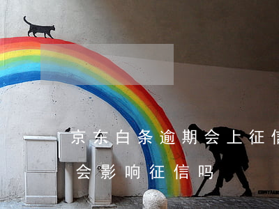 京东白条逾期会上征信吗（金东白条逾期几天会影响征信吗）