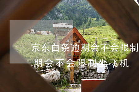 京东白条逾期会不会限制坐飞机(京东白条逾期会不会限制坐飞机)